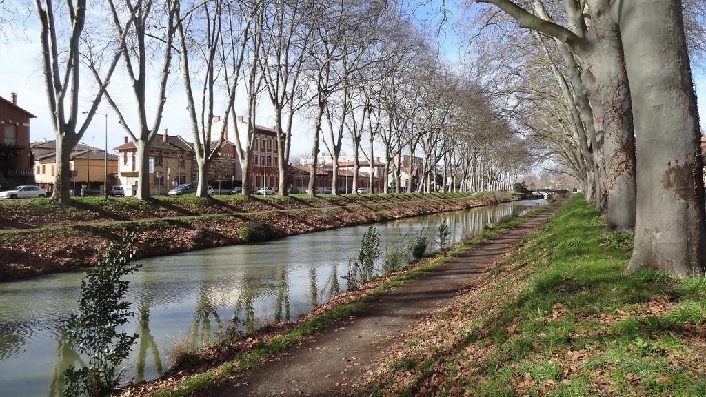 Apartament Le Brienne Toulouse Centre Zewnętrze zdjęcie